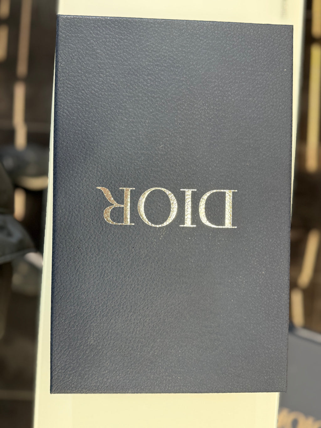 Cristian Dior SNEAKER D-493