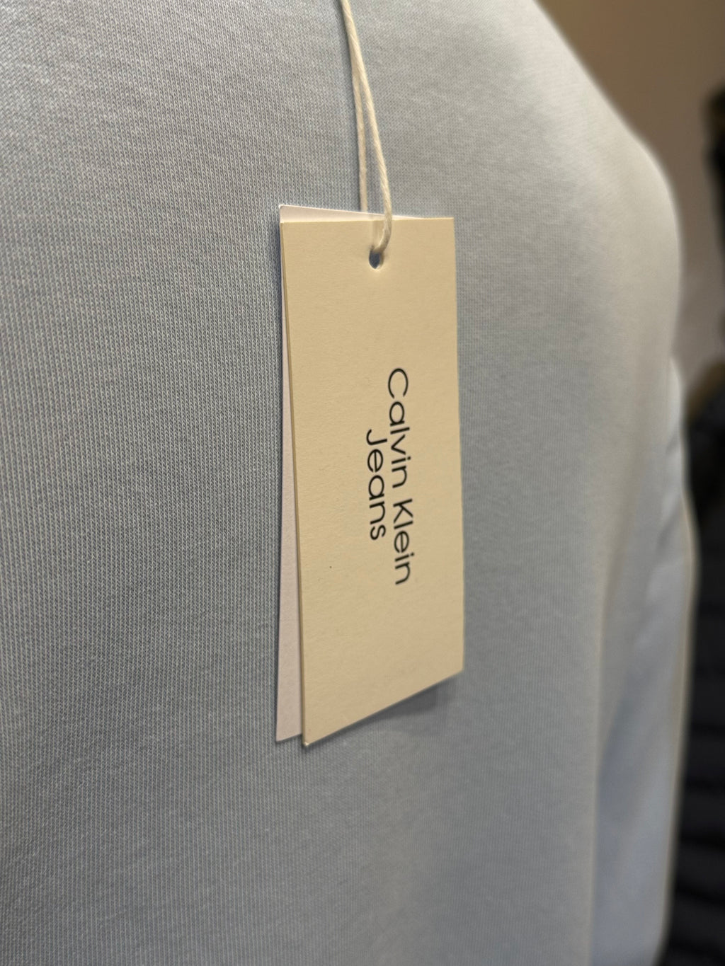 CALVIN KLEIN  Φούτερ baby blue RD891