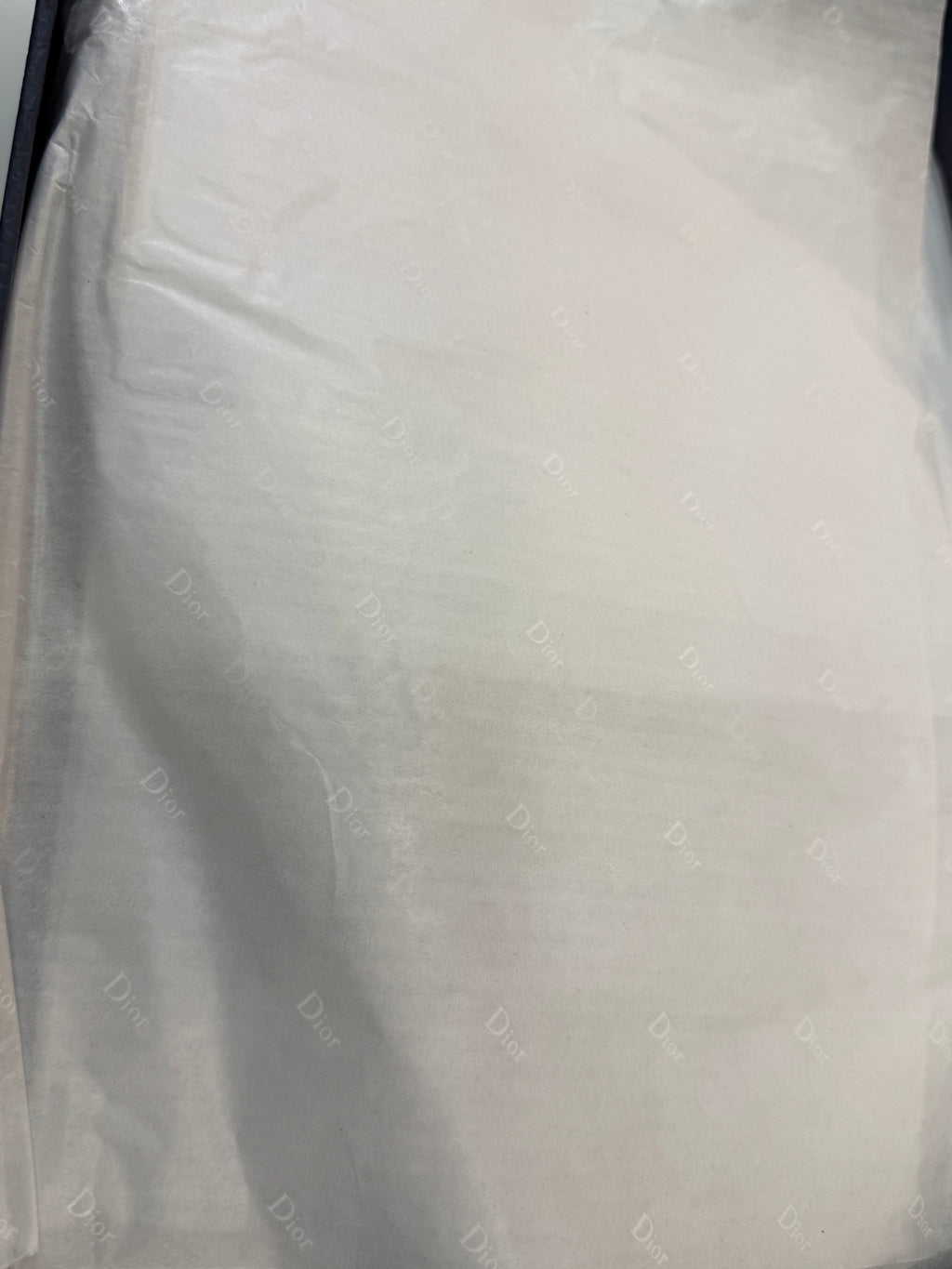 Cristian Dior SNEAKER D-492