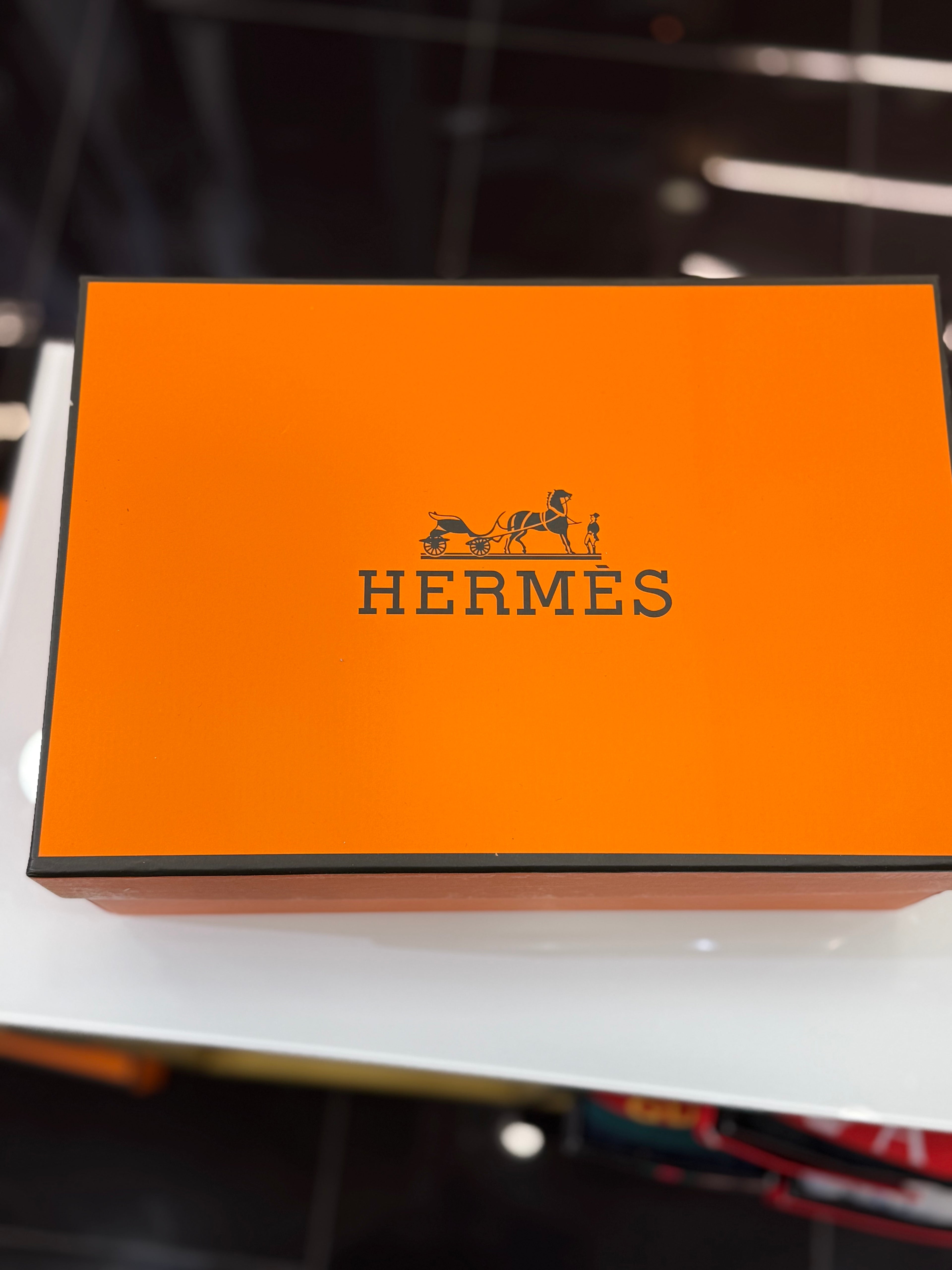 HERMES SNEAKER D-488