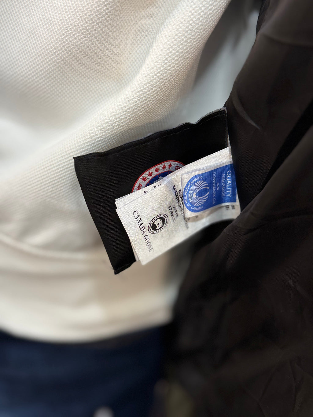 CANADA GOOSE χακί VJ- 721