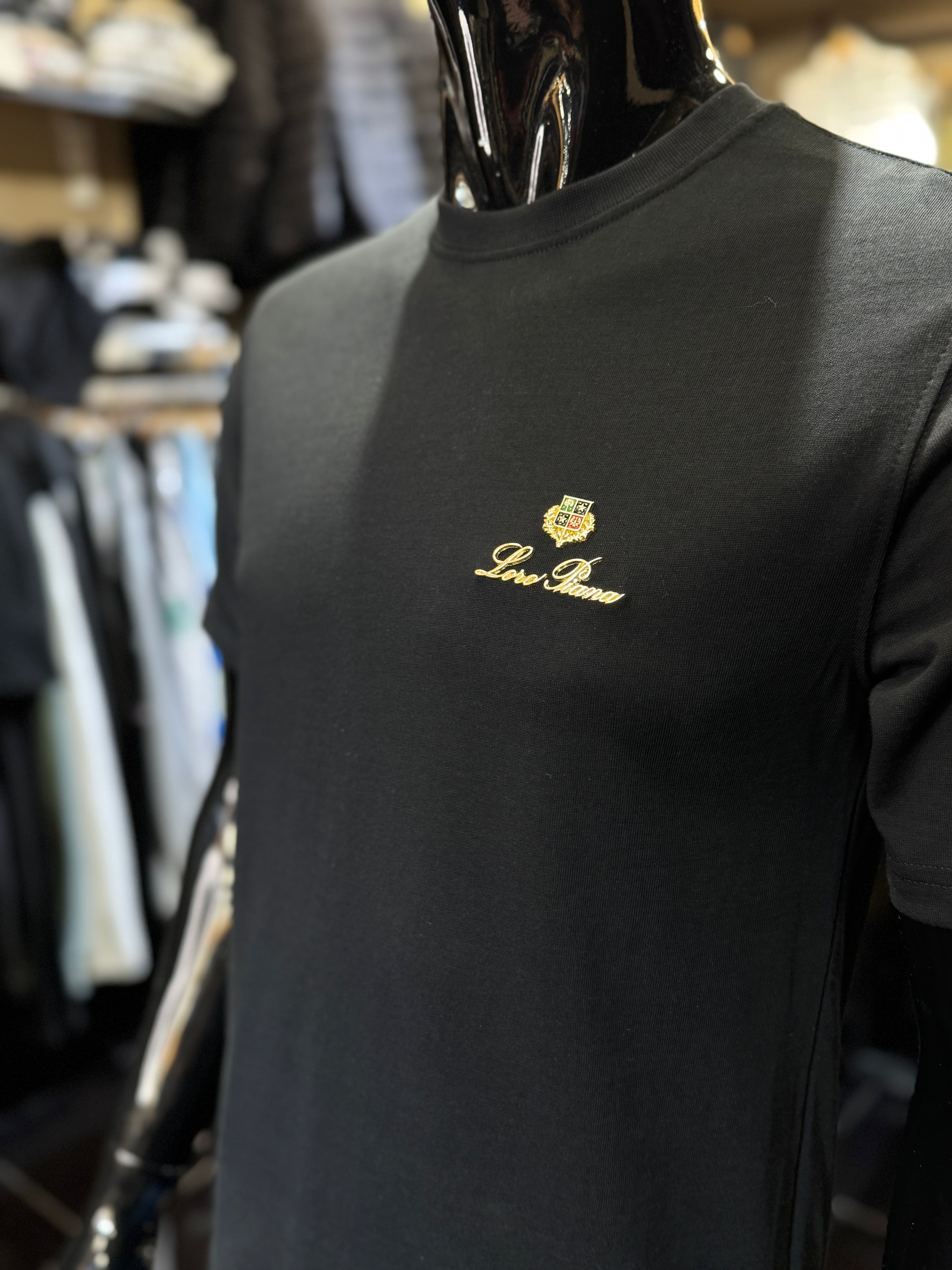 LORO PIANA T-shirt G-35