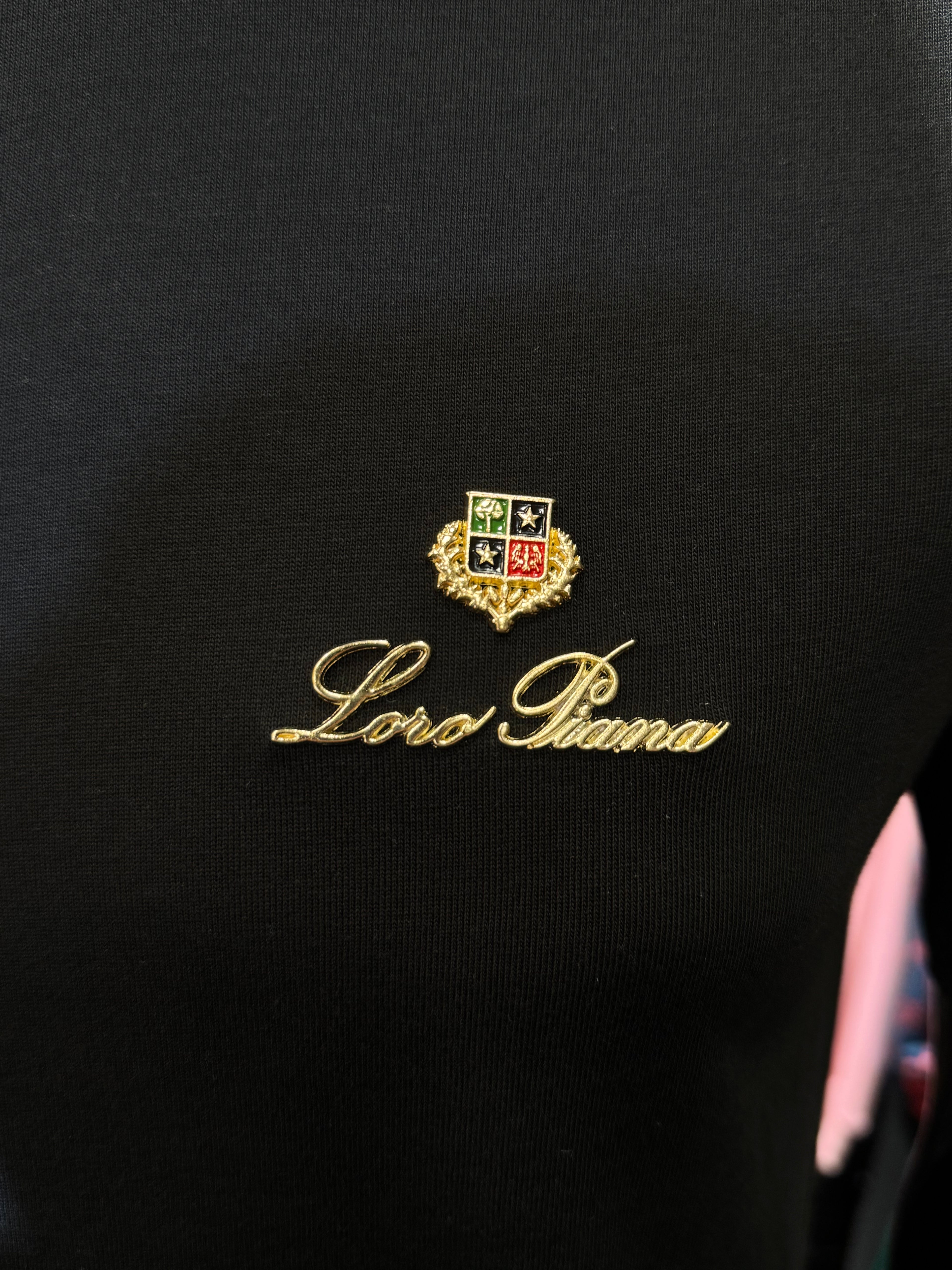 LORO PIANA T-shirt G-35