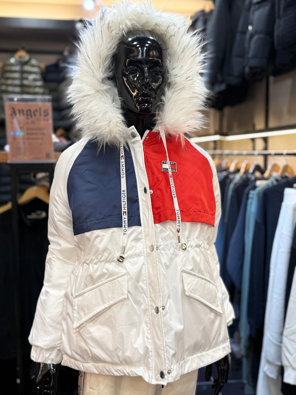 TOMMY HILFIGER   WJX-27