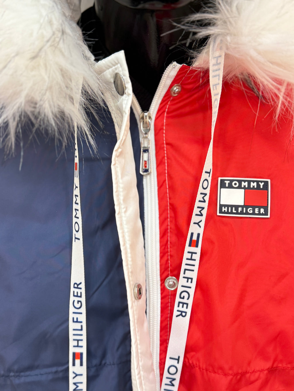 TOMMY HILFIGER   WJX-27